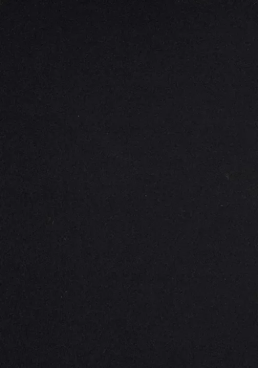 Clearance LASCANA Badeanzug"Scallop" Schwarz